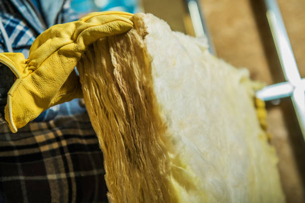 Best Eco-Friendly Insulation in Awendaw, SC