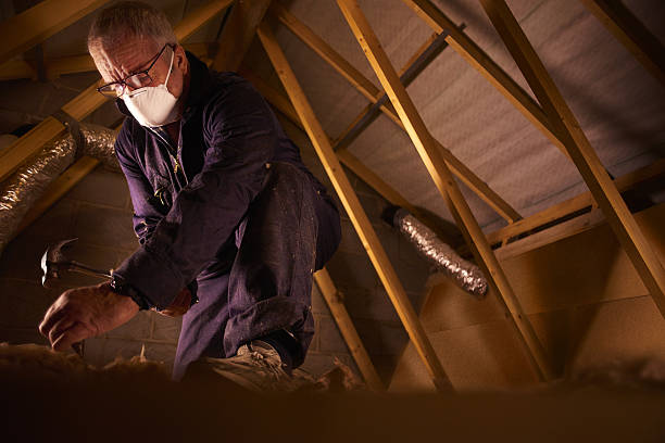 Types of Insulation We Offer in Awendaw, SC